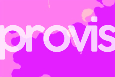 Roma PROVIS 2010