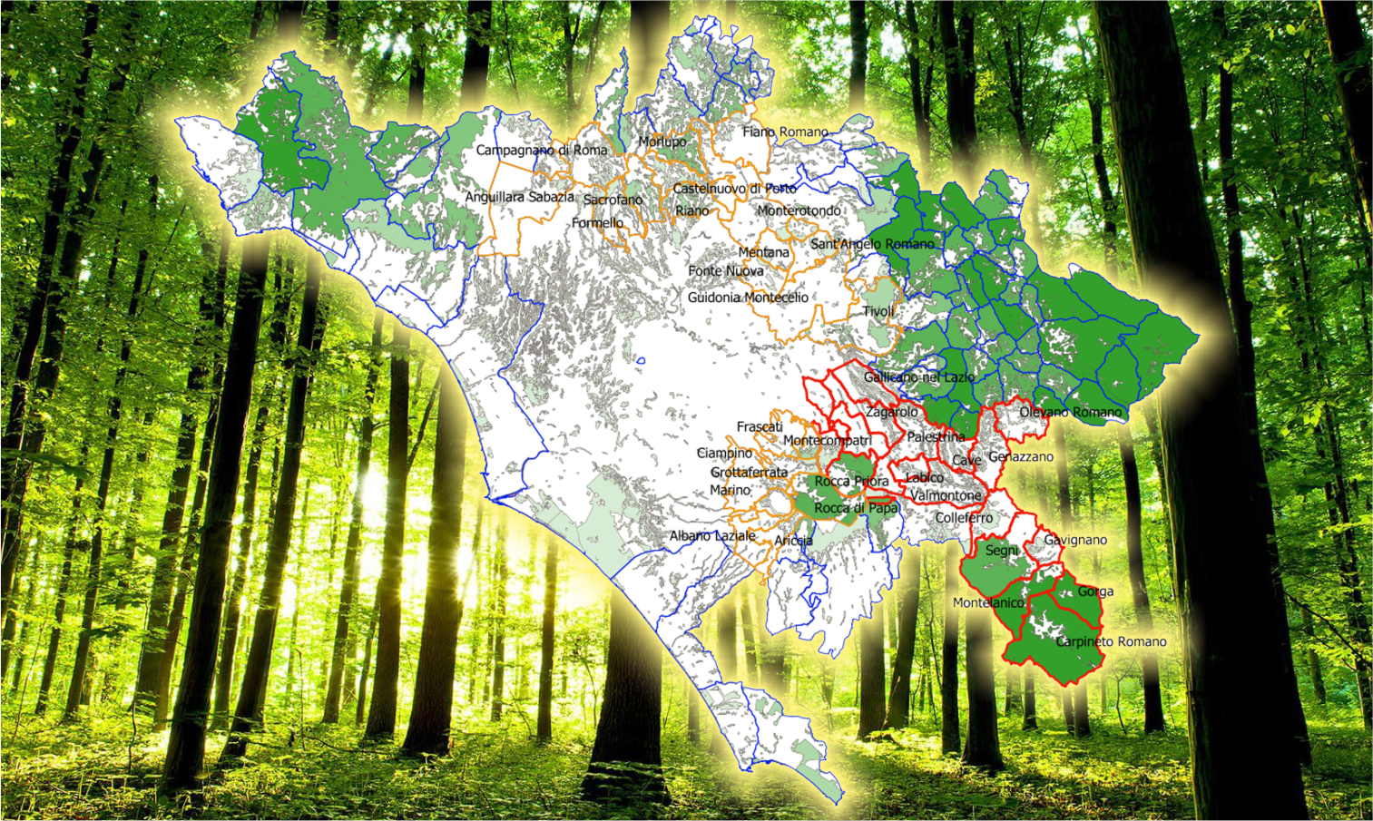 Forestazione