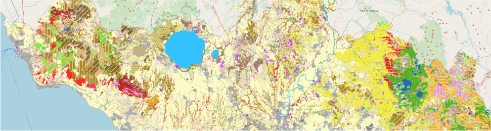 Cartografia delle serie di vegetazione e della vegetazione naturale potenziale della Provincia di Roma