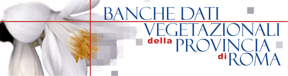 Banche dati vegetazionali 2005-2007